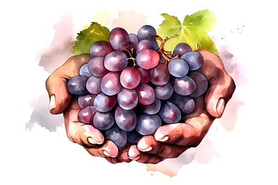 Watercolor bunch of grapes in hands bunch design grapes graphic design illustration vector watercolor