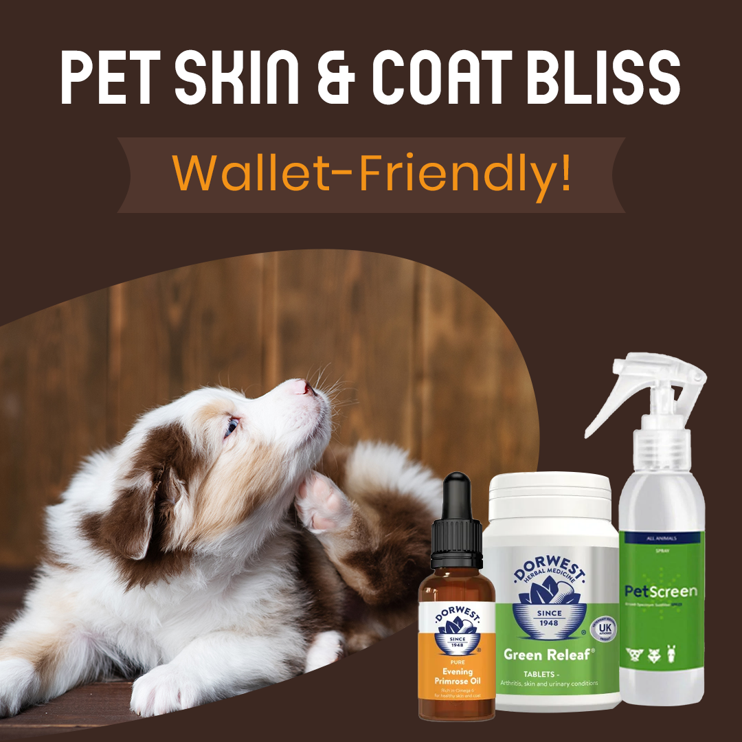 Wide Range of Skin & Coat Care Pet Products at Budgetvetcare by