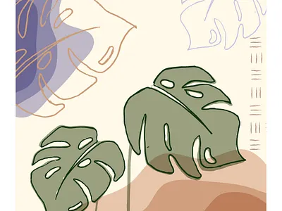 Monstera Plant design graphic design illustration vector