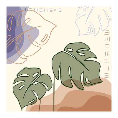 Monstera Plant design graphic design illustration vector