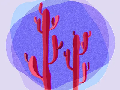 Cactus design graphic design illustration vector