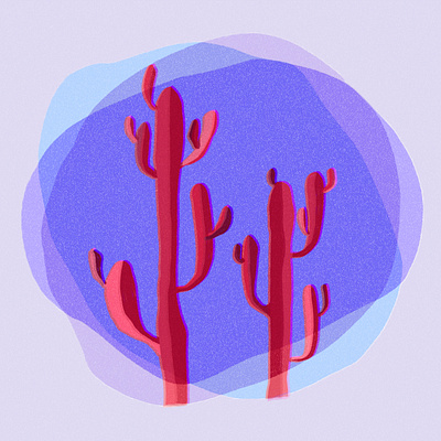 Cactus design graphic design illustration vector