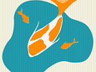 Example of Shot