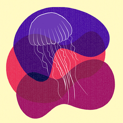 Jellyfish design graphic design illustration vector