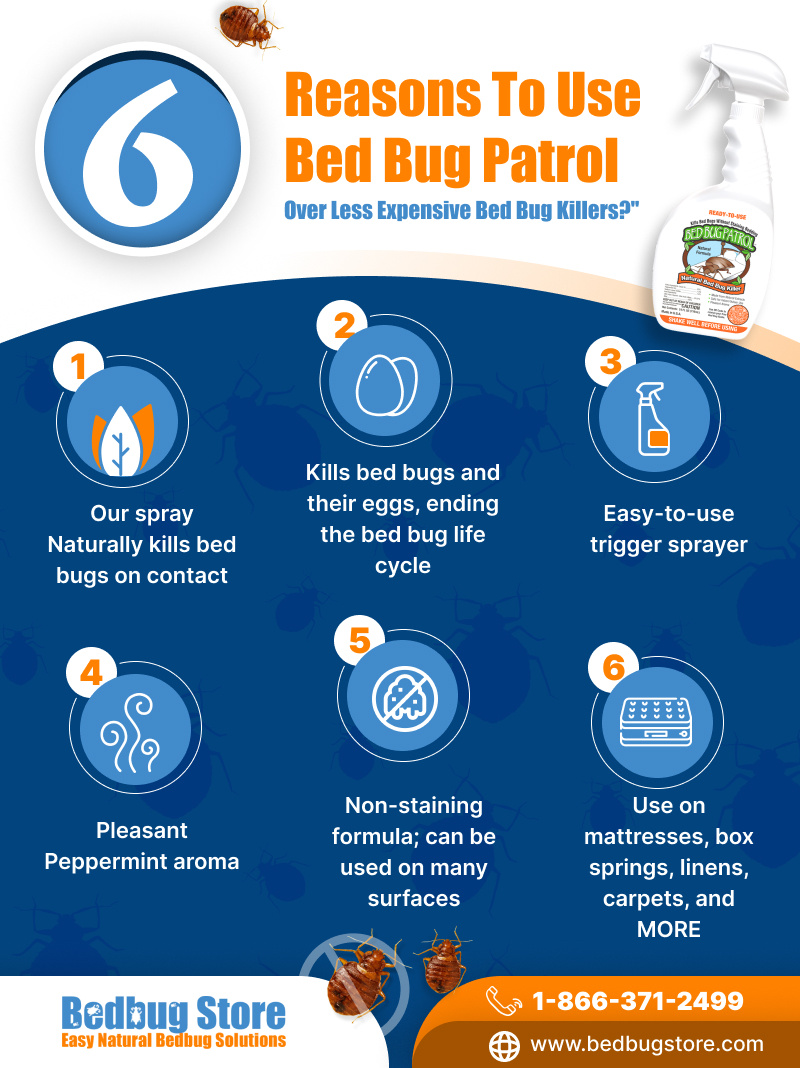 6 Reasons to use Bed Bug Patrol by Bedbugstore on Dribbble
