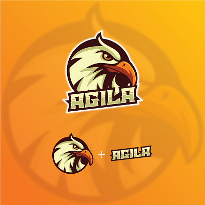Eagle Logo agila bird logo eagle head eagle logo graphic design illustration logo orange logo vector