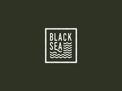 Black sea logo branding design graphic design logo vector