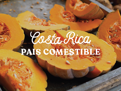 Costa Rica pais comestible logo branding design graphic design logo vector