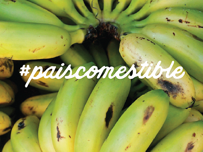Pais Comestible Costa Rica branding design graphic design logo vector