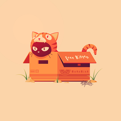 The People's Prince of Darkness: Bounty the Black Cat animals anime black cat cardboard box cat color content creator cute flat design gradient hoodie illustration kitten light leak naughty onesie surprise tiger tiger cub vector