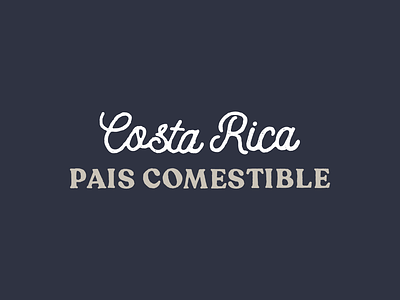 Costa Rica logo branding design graphic design logo vector