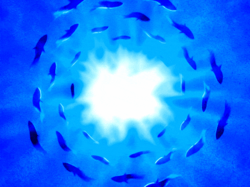 Monday Challenge #26 - Under Water 2d after effects animation blue deep fishes ocean procedural spiral