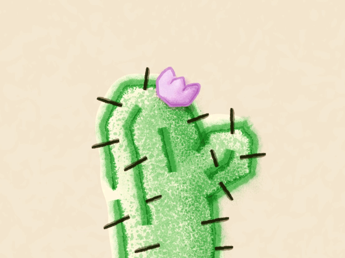 Cactus + bird animation 2d animation animation bird bird animation cactus desert flower hummingbird illustration motion graphics