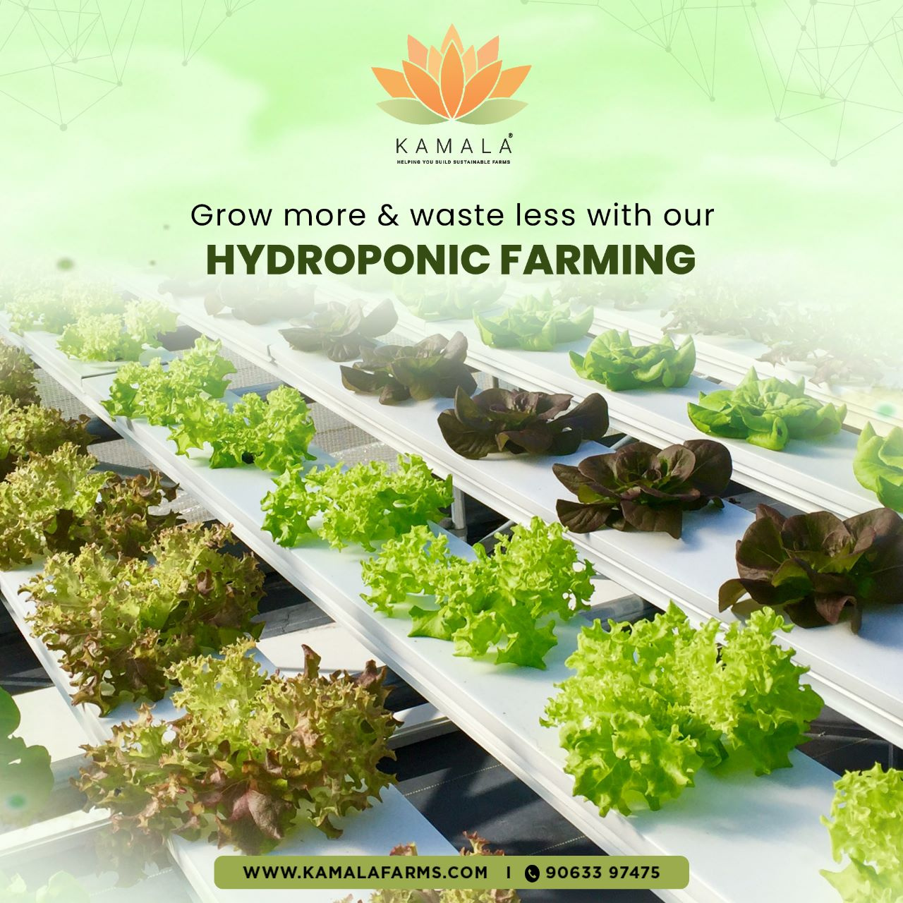 Environmental Benefits Of Hydroponic Farms by Kamala Farms on Dribbble