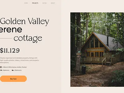 Real Estate Website daily ui design landing page real estate ui uiux web design
