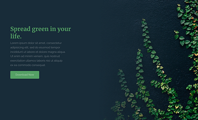 Plant store landing page - concept web design branding figma graphic design illustration web design webdesign
