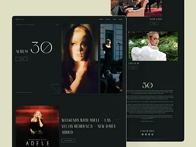 Adele Website Redesign Concept design music music web music website web web design website