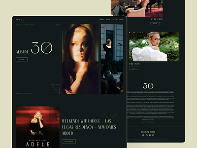 Adele Website Redesign Concept design music music web music website web web design website