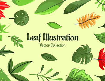 Leaf Vector Collection design illustration jungle leaf leaves plant tree tropical