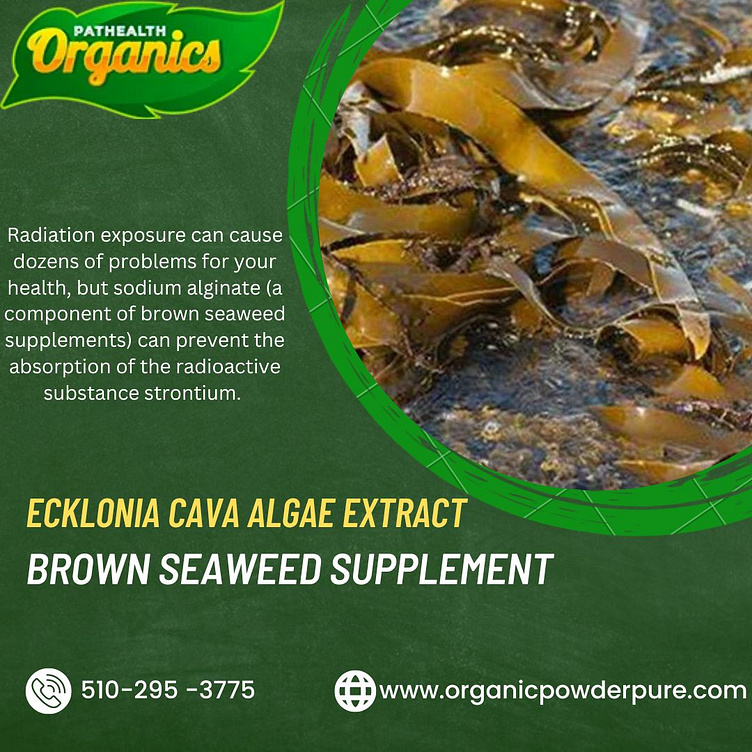 Premium Brown Seaweed Supplement Discover its Benefits by Organic