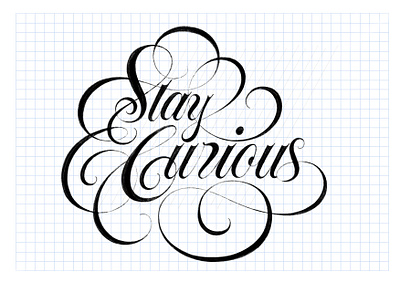 Stay Curious Spencerian Script Lettering branding calligraphy design elegant font graphic design hand lettering illustration lettering logo logotype script sketch spencerian type typography wordmark