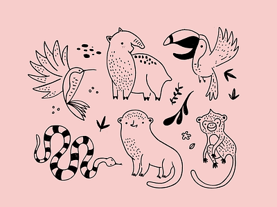 Jungle animals illustration