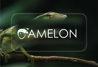 Cameleon Logo design branding graphic design logo