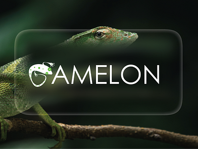 Cameleon Logo design branding graphic design logo