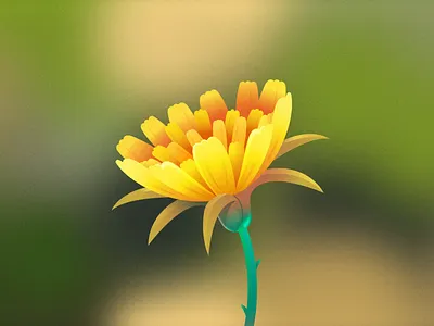 Beautiful Blossoms #3 2d animation bee dandelion design flower gif illustration motion graphics nature silver tops spring thelittlelabs