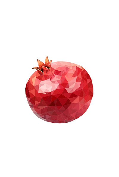 Pomegranate adobe illustartor art graphic design illustration low poly