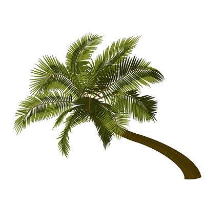 Векторная иллюстрация изогнутого пальмового дерева. coconut tree