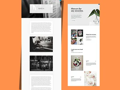 wordpress landing page squeeze and sales page with elementor pro blog customization design elementor landing page salespage squeeze page website design wordpress