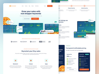 SaaS Landing Page - Web Design saas dashboard