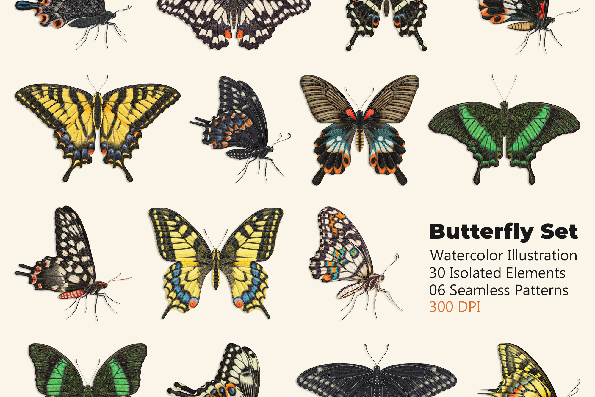 Realistic highly detailed butterflies branding butterfly clipart design digital digital art digital butterfly graphic design highly detailed illustration isolated logo pattern