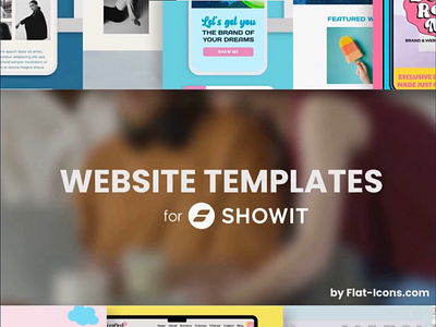 Showit Website Templates branding design illustration website