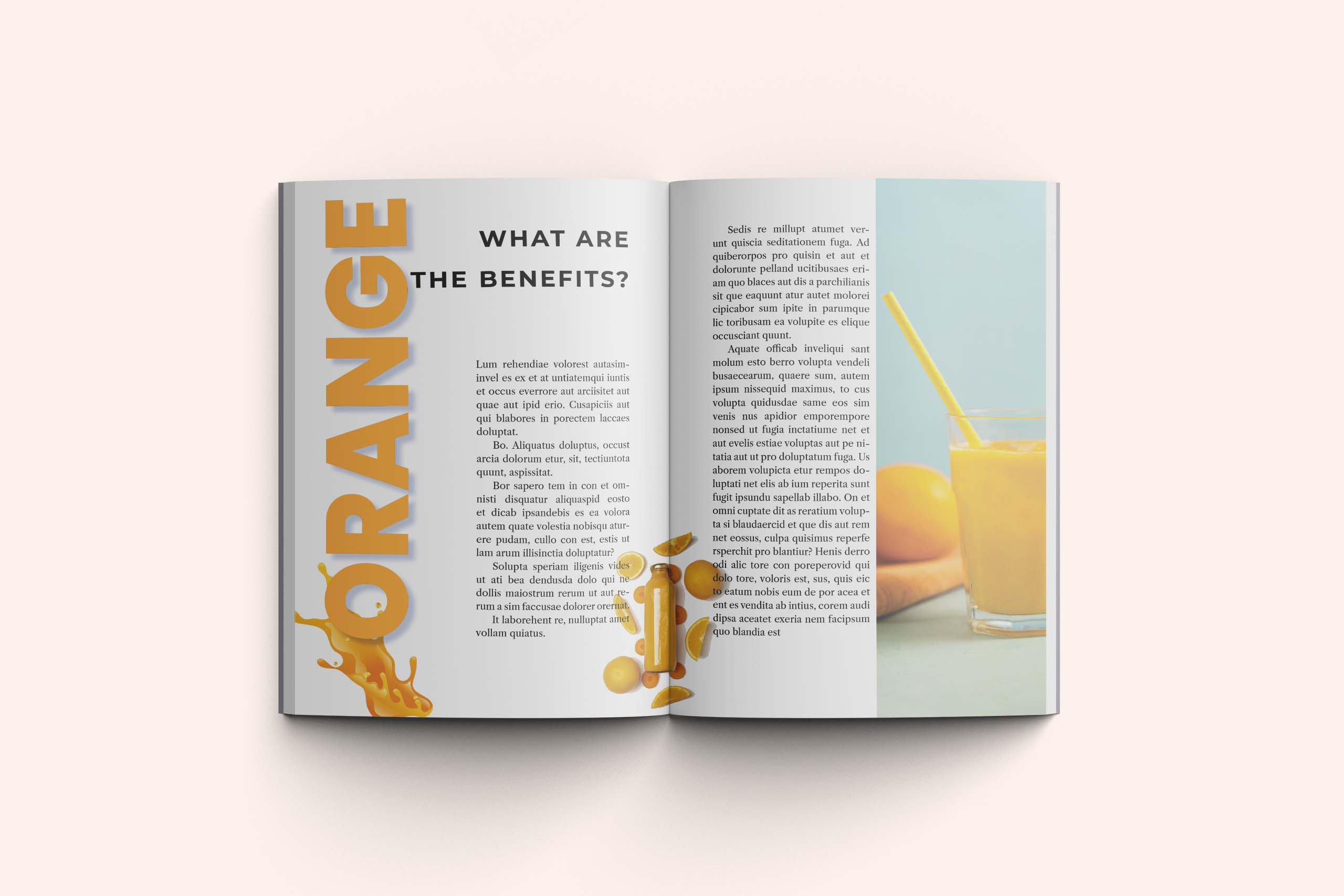 Non Fiction Design book book formatting design formatting graphic design illustration layout nonfiction page design page layout typesetting typography