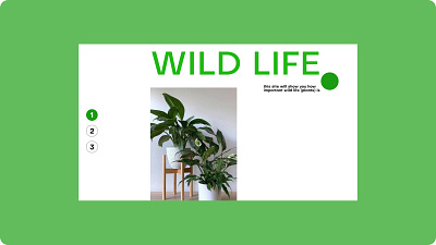 "Wild life" first screen concept animation motion graphics ui ux web design