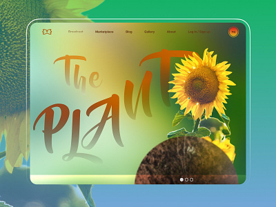 Sunflower website concept branding design graphic design logo sunflower typography ui ux web