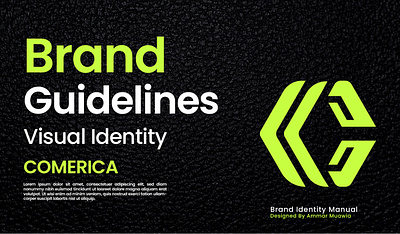 Brand Identity I Brand Guidelines I Brand Style Guide brand book brand design brand guidelines brand identity brand style guide branding design logo design visual design