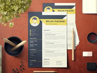 Professional Modern CV Resume cover letter