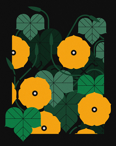 MORNING GLORY (2023) branding design floral flowers illustration minimal illustration nature plants vector wildlife