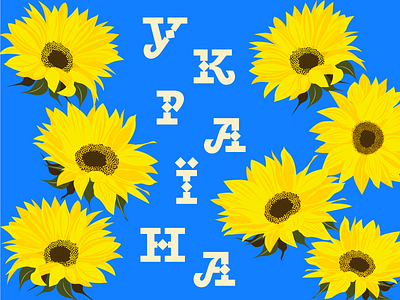Happy birthday, Ukraine! branding graphic design identity illustration sunflower ukraine vector