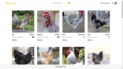 Chick-Pal | Rent Chickens figma front end html ruby on rails scss ui web development