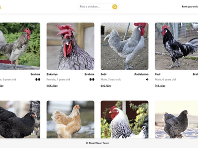 Chick-Pal | Rent Chickens figma front end html ruby on rails scss ui web development