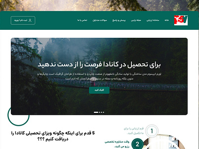 Pars Student Visa Website Design design graphic design typography ui ux