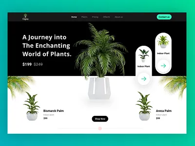 Premium Plants ai branding creative design design designer figma design graphic design illustration modern design typography ui ux