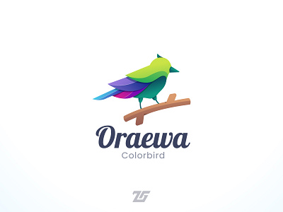 Oraewa "Color Bird" 3d amazing logo animal art awesome logo beautiful bird branding color colorful creative design fly gradient logo graphic design identity illustration logo logos modern