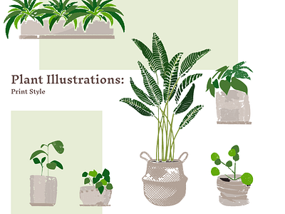 Plant Illustrations : Print Style design digitalart digitalillustration graphic design illustration