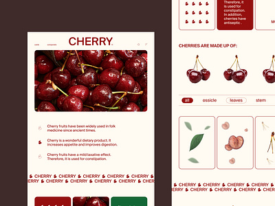 Cherry - website desigh concept app branding design graphic design illustration logo typography ui ux vector