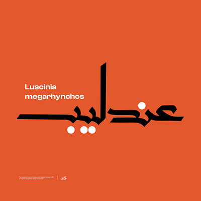 Andaleeb | Arabic Typography calligraphy design graphic design logo typography تايب فيس تايبوجرافي خط عربي كالجرافي مخطوطة